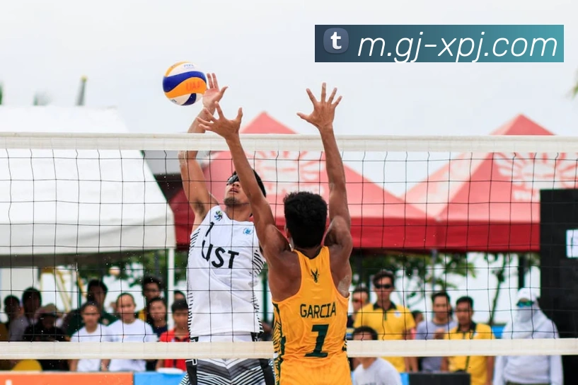 新葡京娱乐发展历程